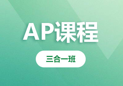 AP课程经济商科-预学班