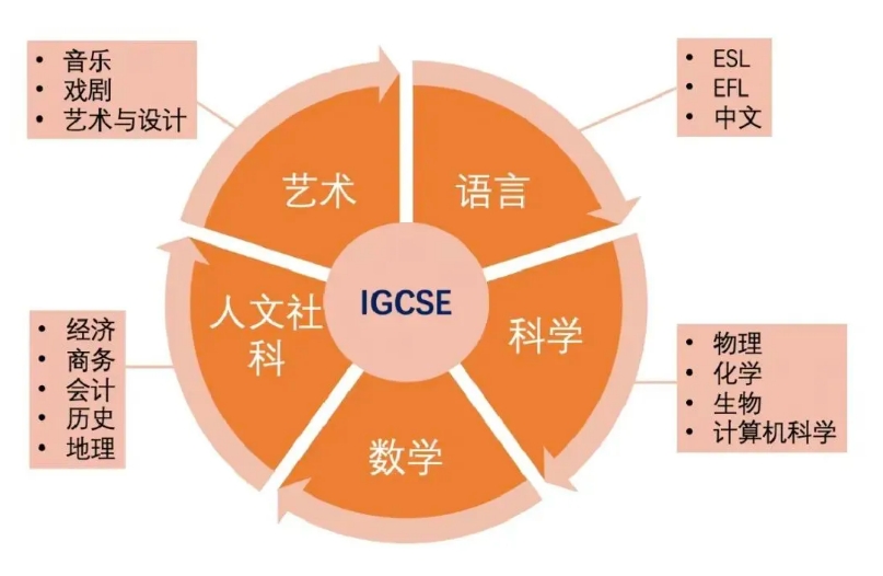 IG课程学科